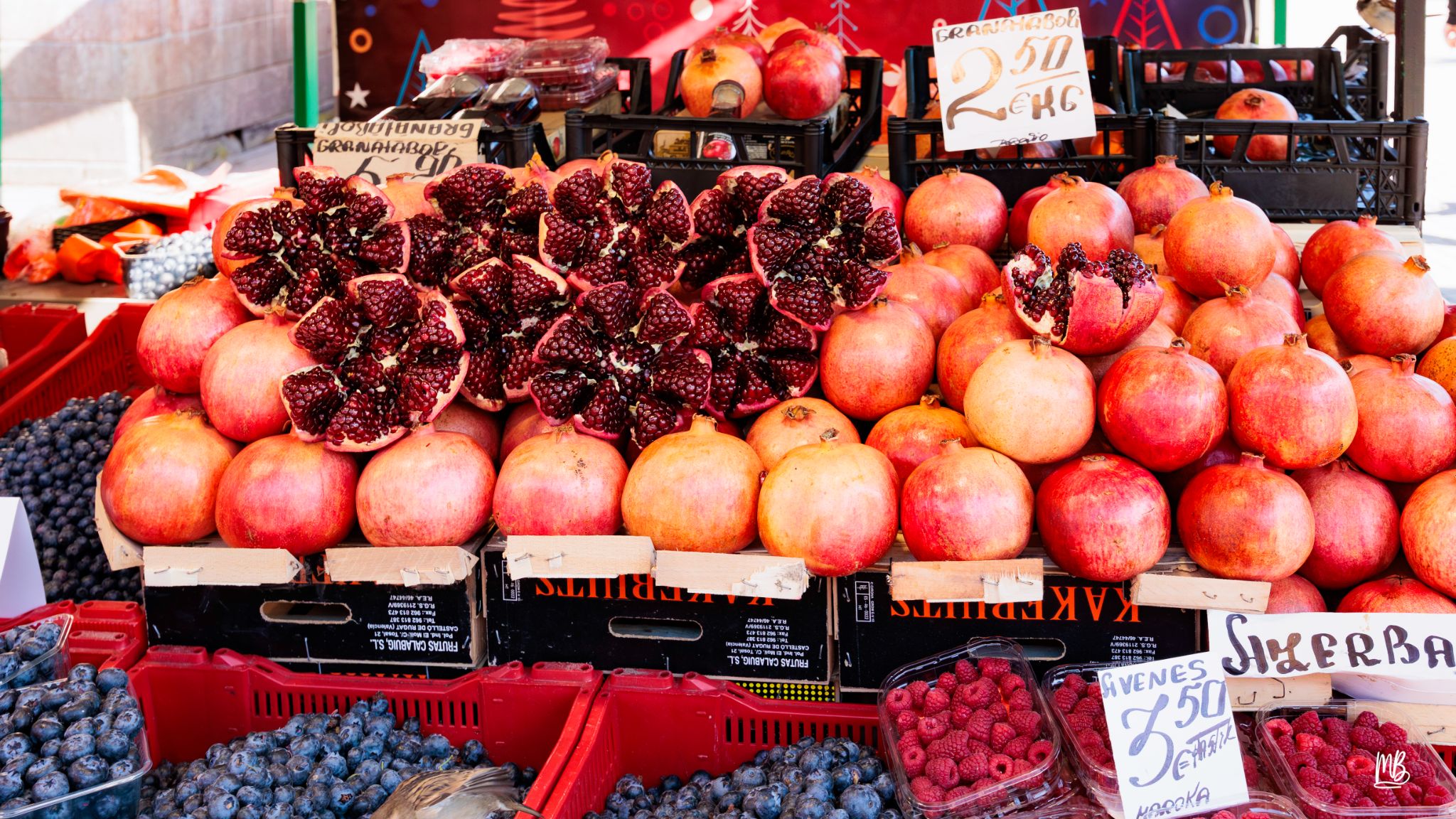 2024   Riga   MB 254